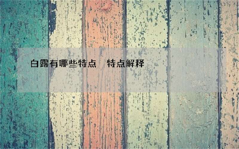 白露有哪些特点 特点解释